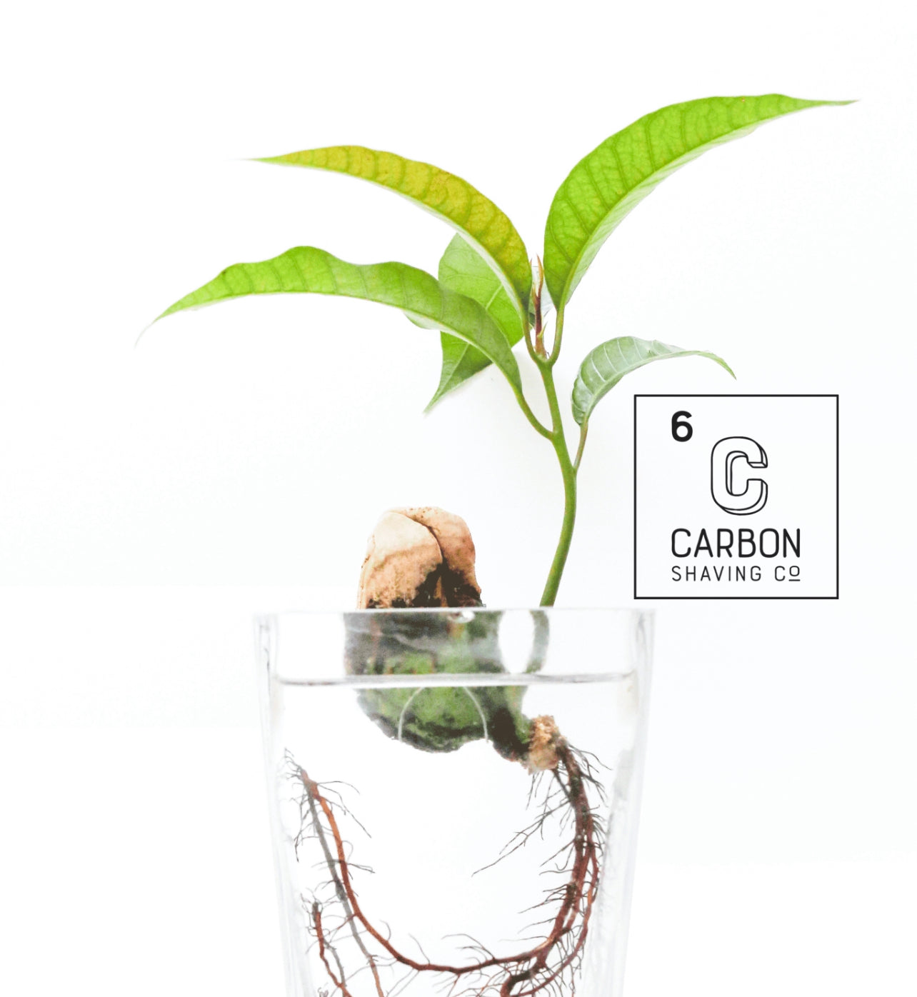 Environmentally sustainable safety razor for shaving image with carbon shaving co logo